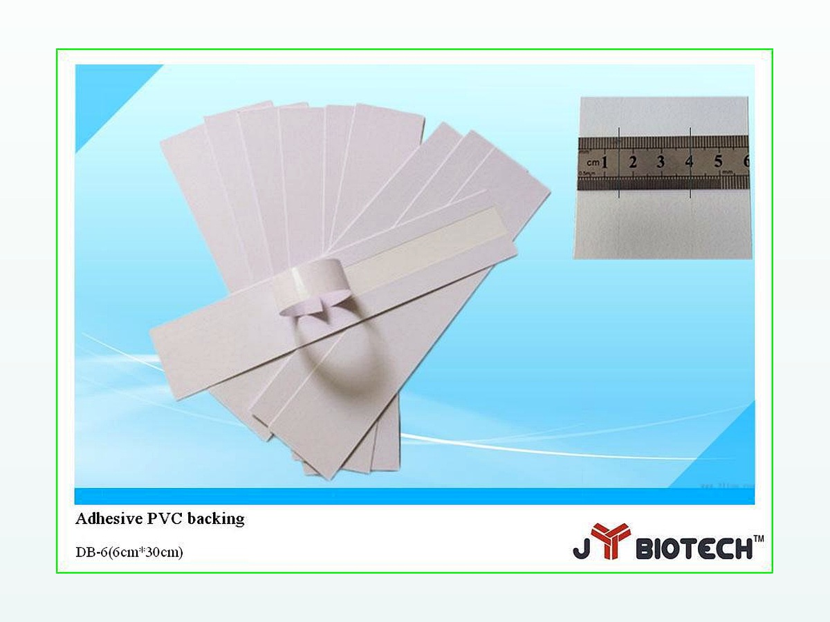 （PVC）胶体金专用底板 图 3