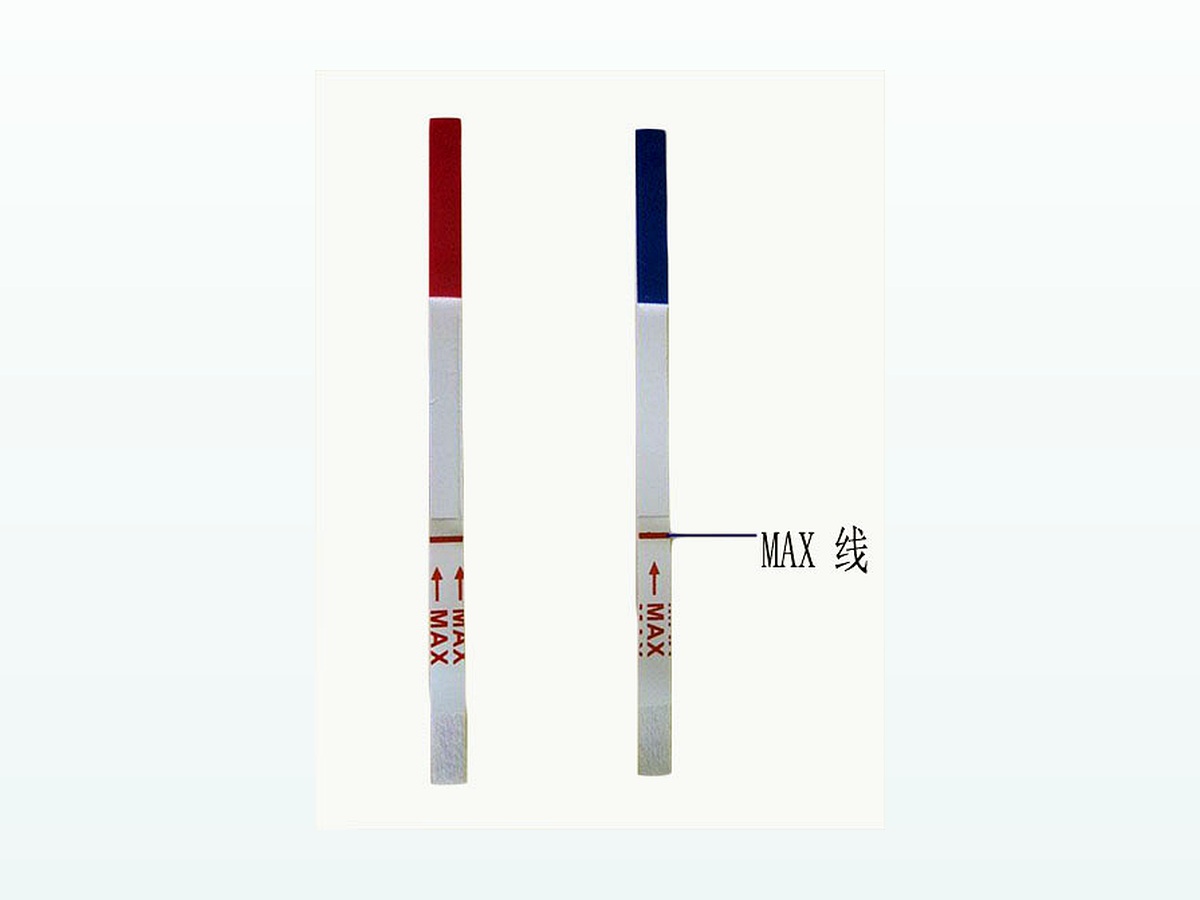 Max 线 image 5